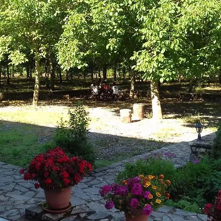 Apartment Andrea Sofi Dimitsana