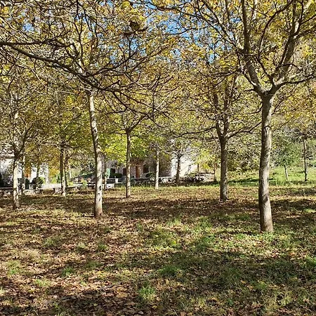 Andrea Sofi Daire Dimitsana