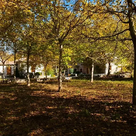 Andrea Sofi Dimitsana