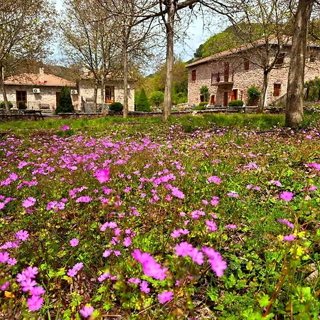 Andrea Sofi Apartment