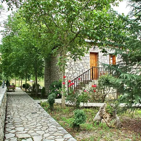 Daire Andrea Sofi Dimitsana