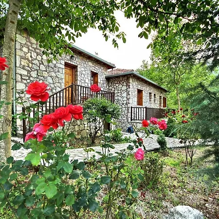 Andrea Sofi Διαμέρισμα