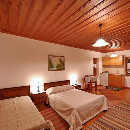 Andrea Sofi Apartment Dimitsana
