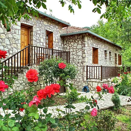 Apartment Andrea Sofi *