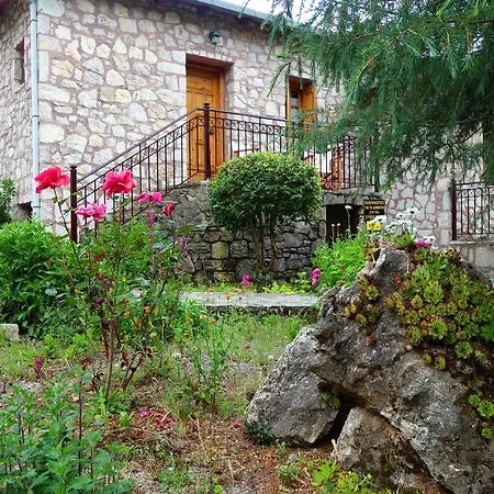 Apartment Andrea Sofi Dimitsana