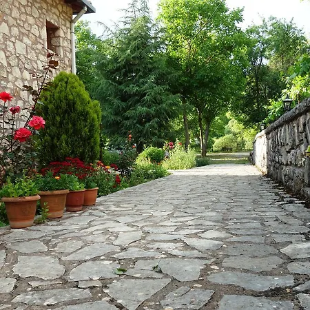 Andrea Sofi Appartement Dimitsana