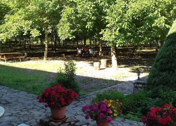 Appartement Andrea Sofi Dimitsana