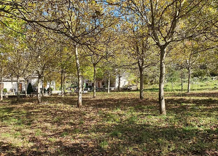 Andrea Sofi Lejlighed Dimitsana