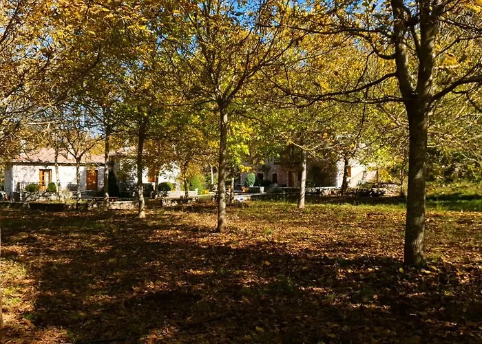 Andrea Sofi Dimitsana