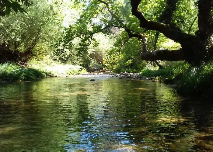 Andrea Sofi Appartement Dimitsana