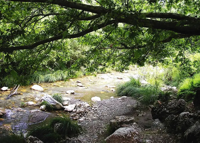 Lejlighed Andrea Sofi