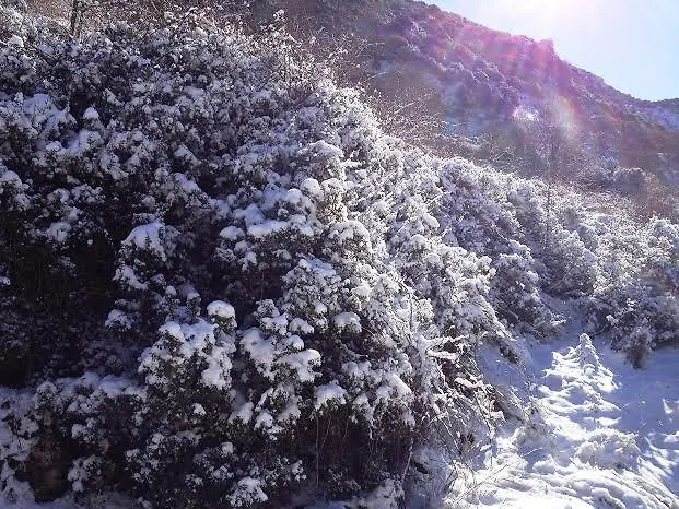 Andrea Sofi Apartament