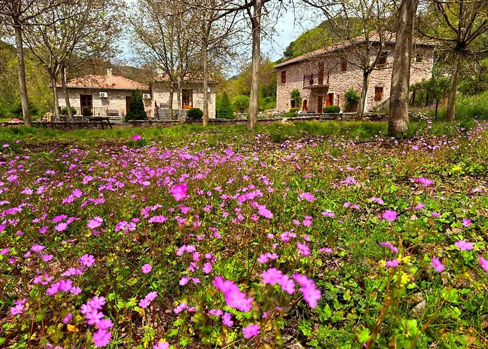 Andrea Sofi Apartament