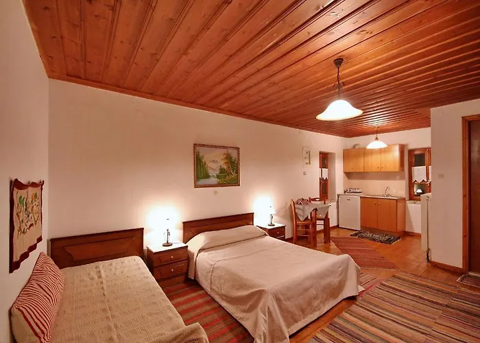 Andrea Sofi Appartement Dimitsana