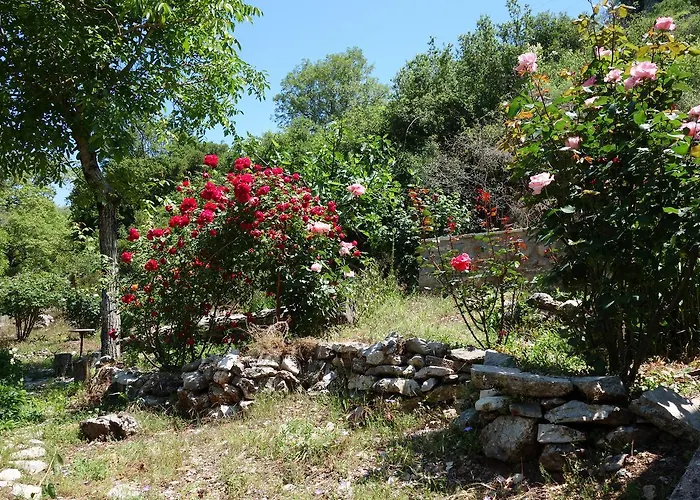 Andrea Sofi Lejlighed *